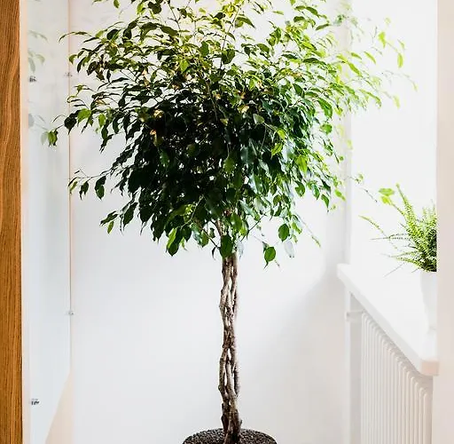 Apartahotel Browar Perla - Free Parking